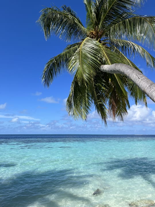 Strand Vilamendhoo Island Resort & Spa