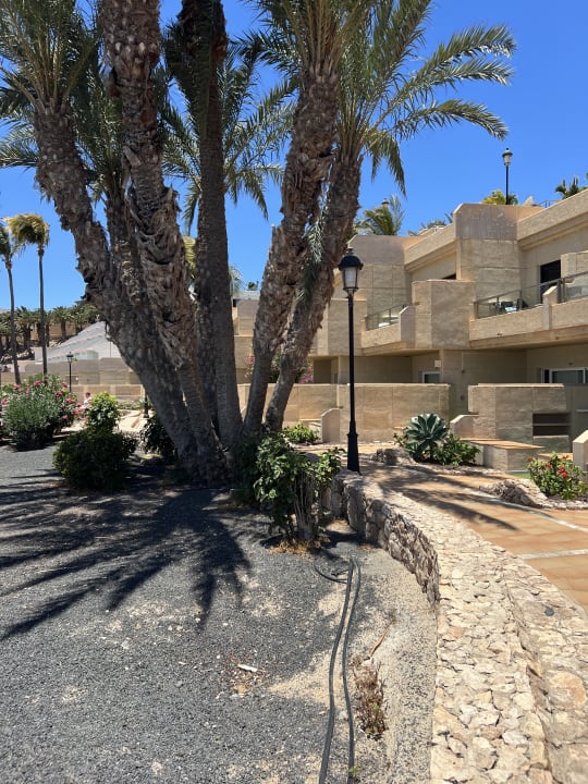 Gartenanlage SBH Hotel Taro Beach