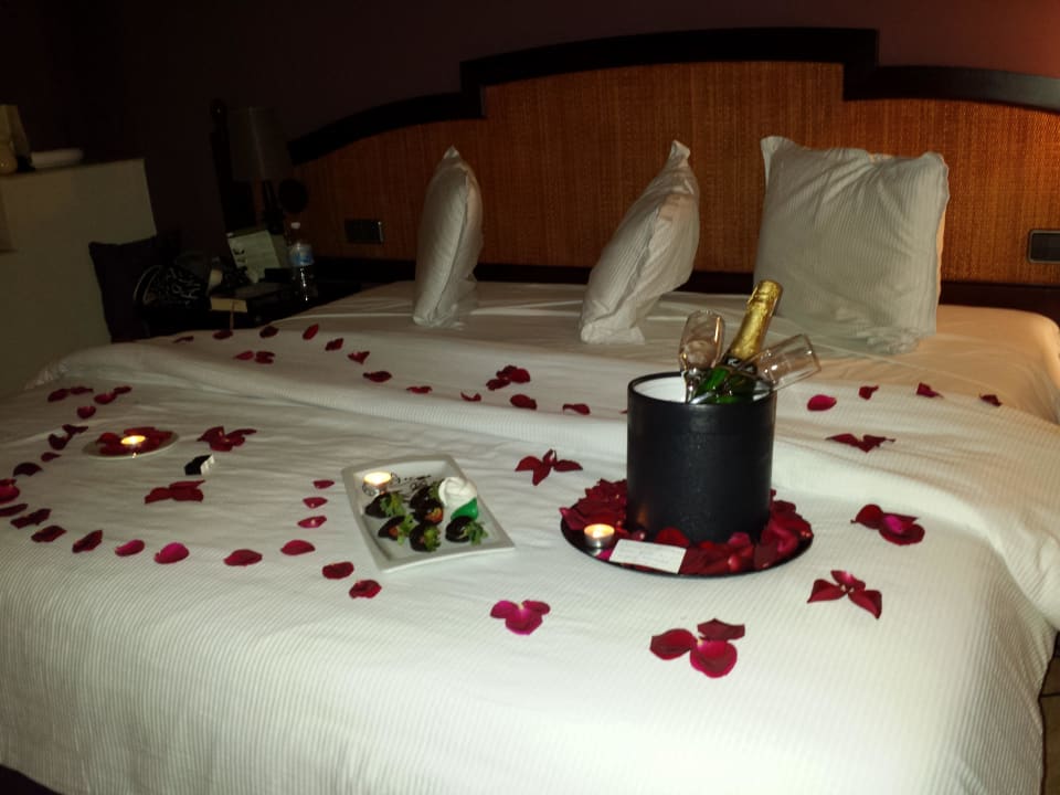 Royal TRS Yucatan Hotel - Adults only