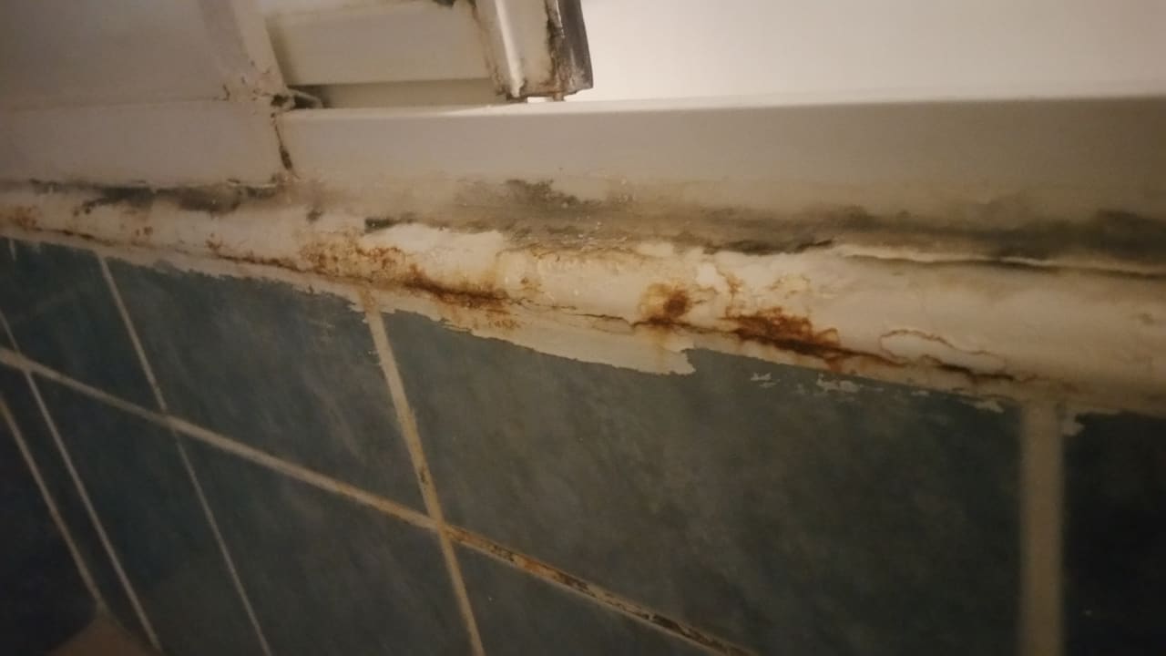 Zimmer Green Paradise Beach Hotel