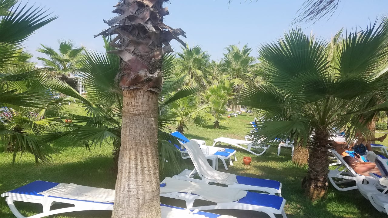 Strand Hotel Süral Resort