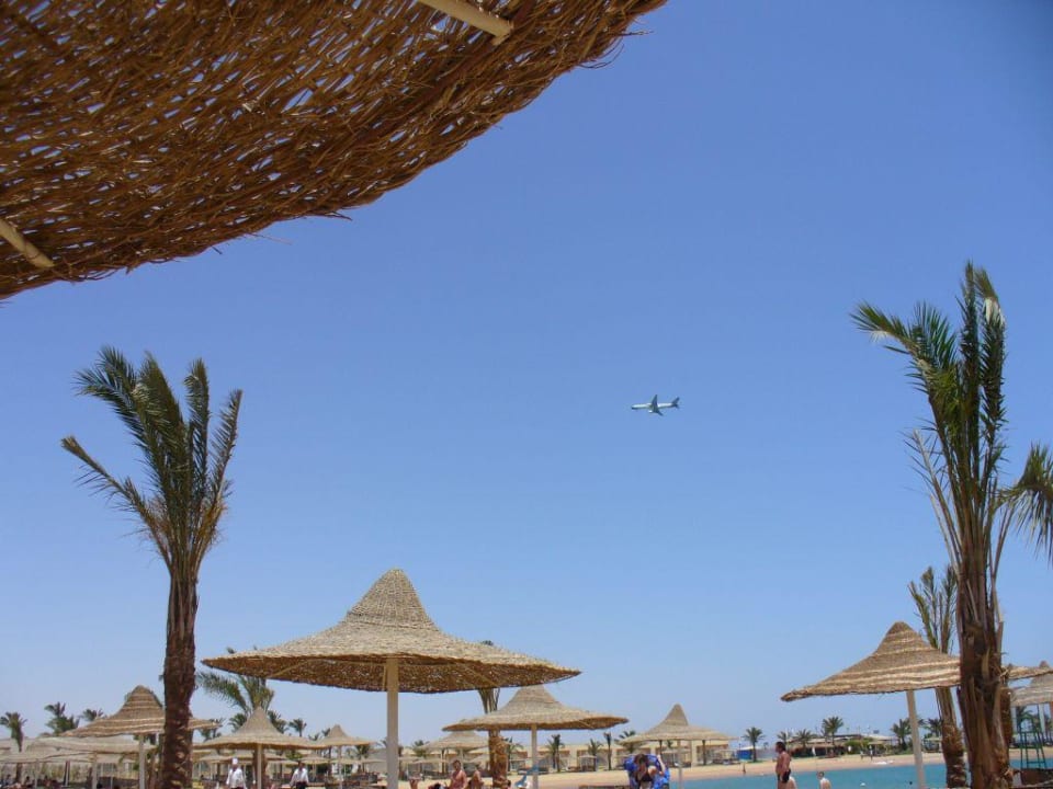 Plaża-niebo Desert Rose