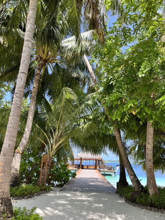 Gartenanlage Vilamendhoo Island Resort & Spa