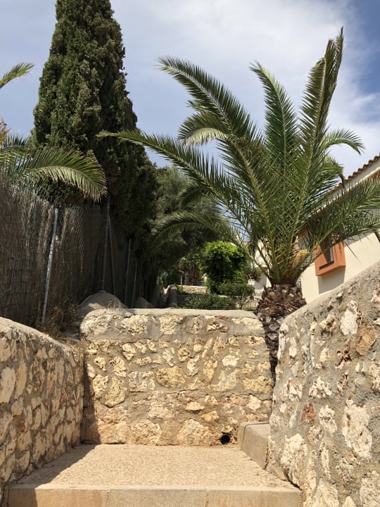 Sonstiges blau punta reina