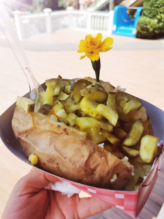 Gastro Hotel Club Paradiso