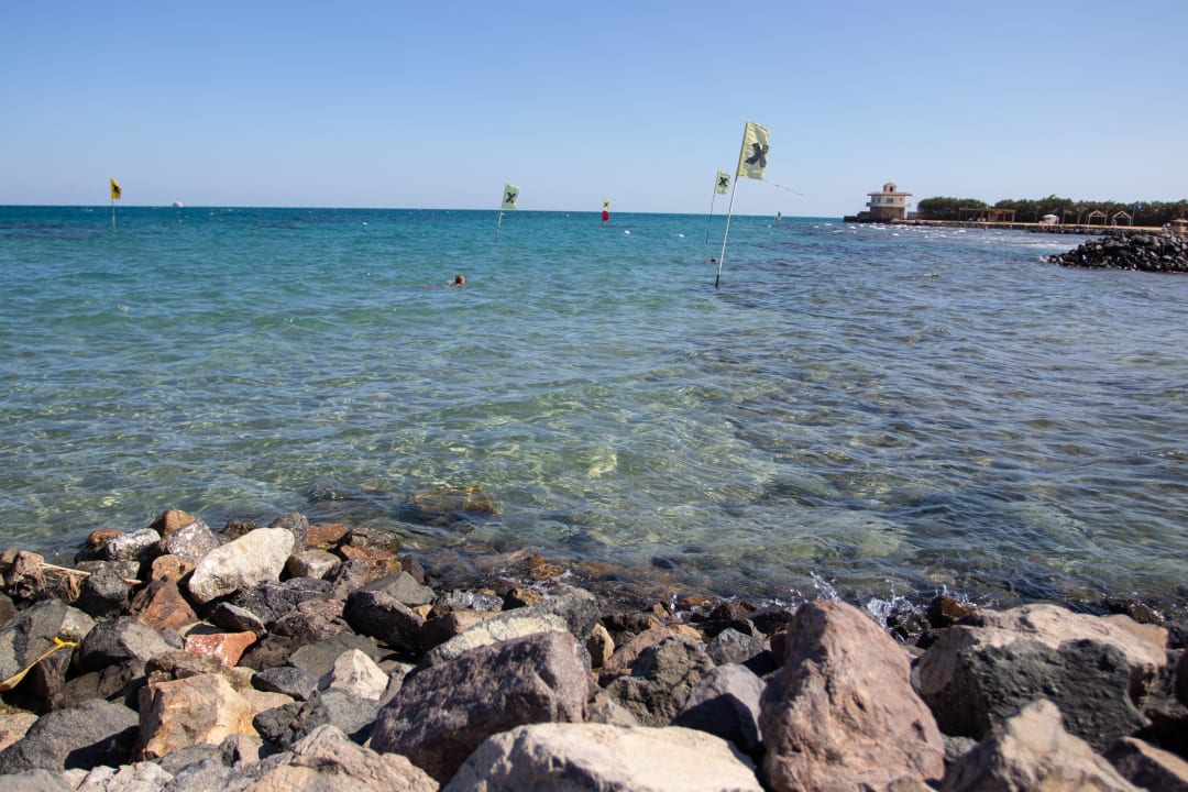 Ausblick Desert Rose