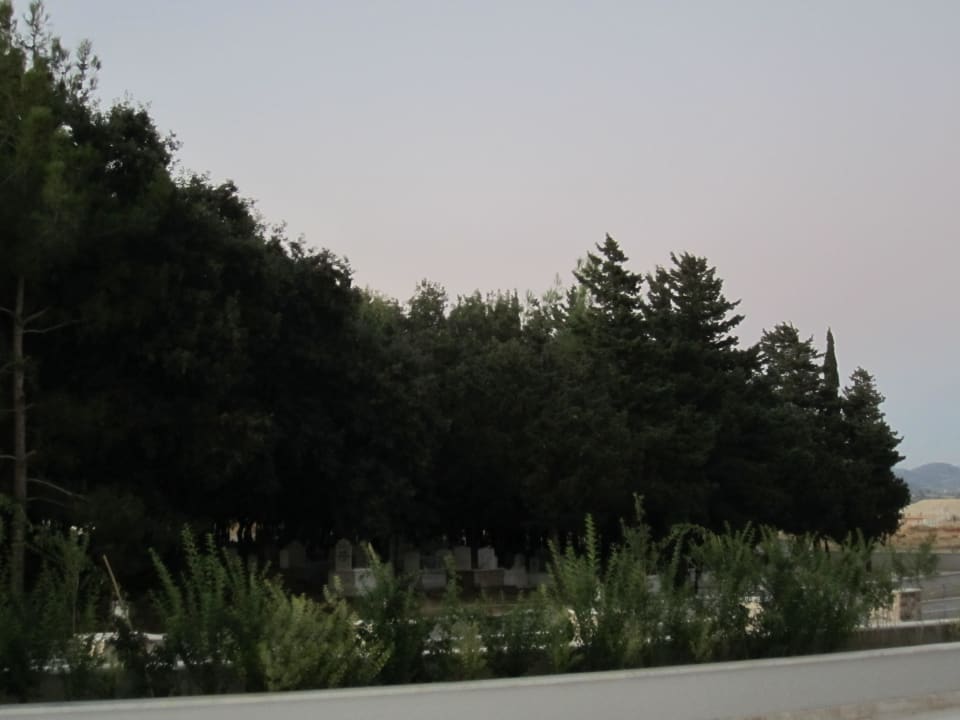 Direkter Blick auf den Friedhof Seaden Sea Planet Resort & Spa