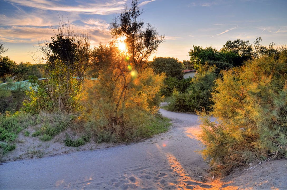 Blick in die Anlage Rosapineta Camping Village