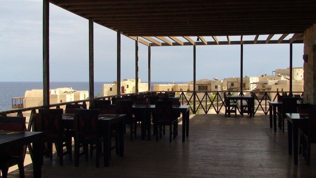 Restaurant - Terrasse The Oasis Dive Resort