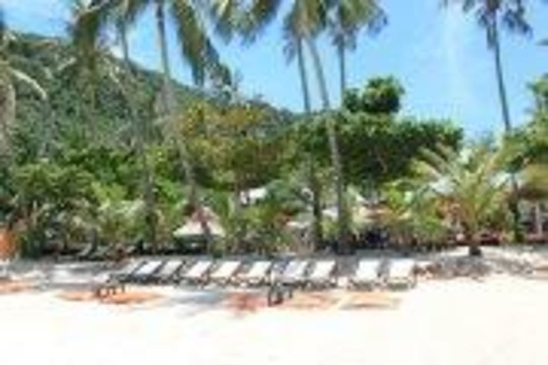 White sand beach Pariya Resort & Villas Koh Phangan