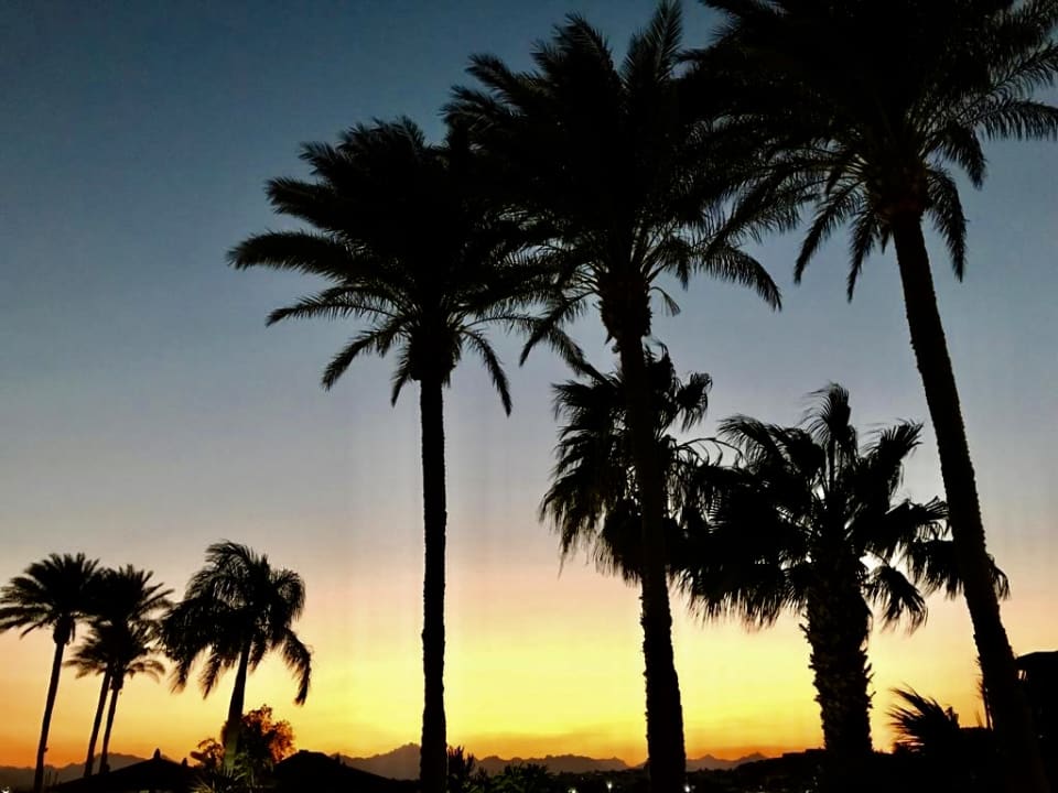 Strand Marriott Hurghada Beach Resort