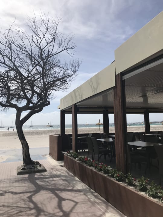 Gastro Alcudia Garden Aparthotel