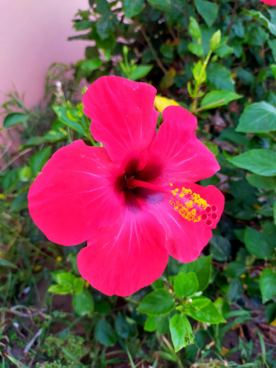 Sonstiges Hotel Horizon Beach Resort