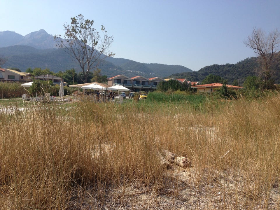 Blick vom Strand zum Hotel - nur 100 Meter! Alexandra Golden Boutique - Adults only