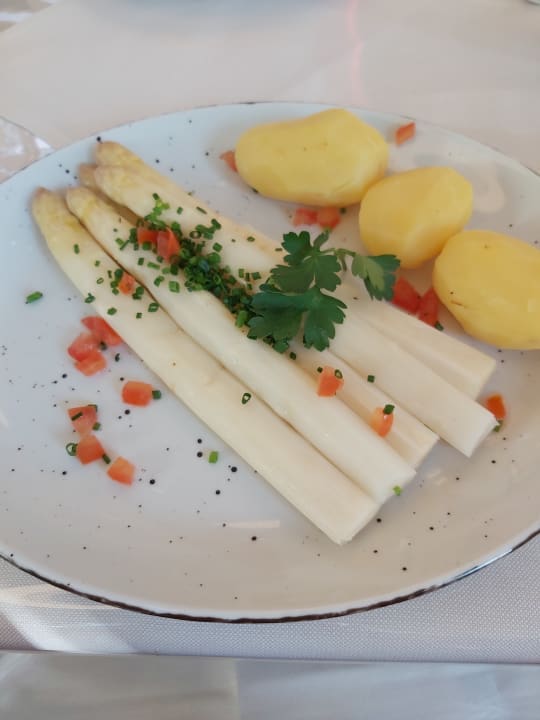 Gastro Hotel Lohmühle