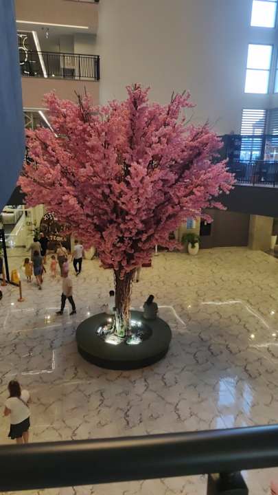 Lobby Dream Water World