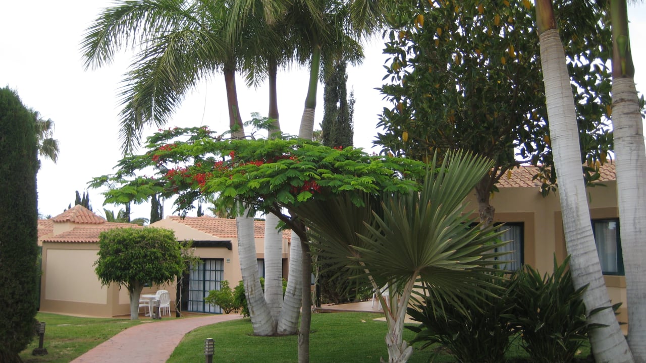 Gartenanlage allsun Hotel Esplendido