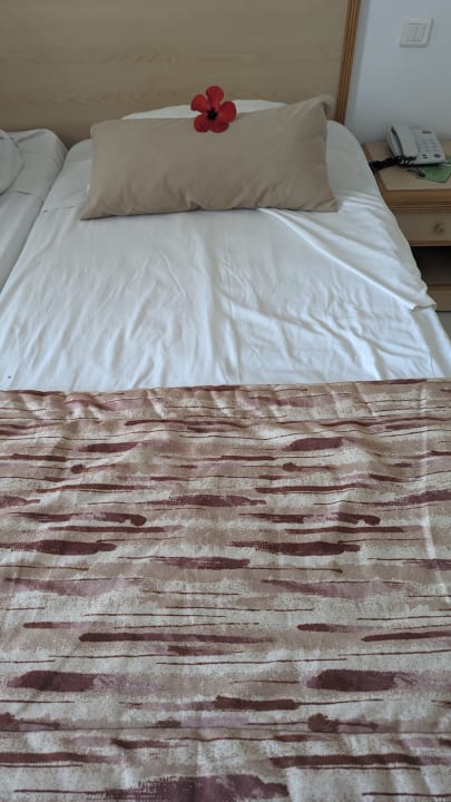 Zimmer Hotel Nesrine