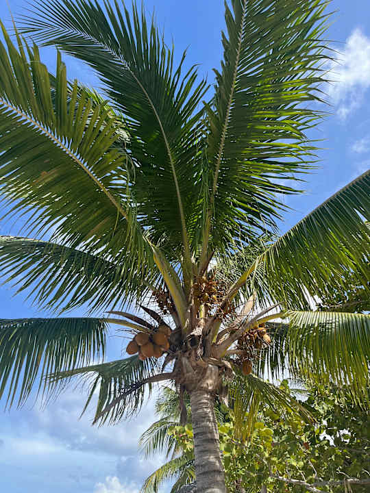Sonstiges Sol Rio De Luna y Mares