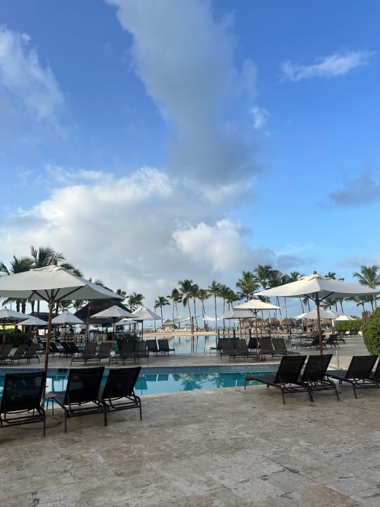 Pool Dreams Dominicus La Romana