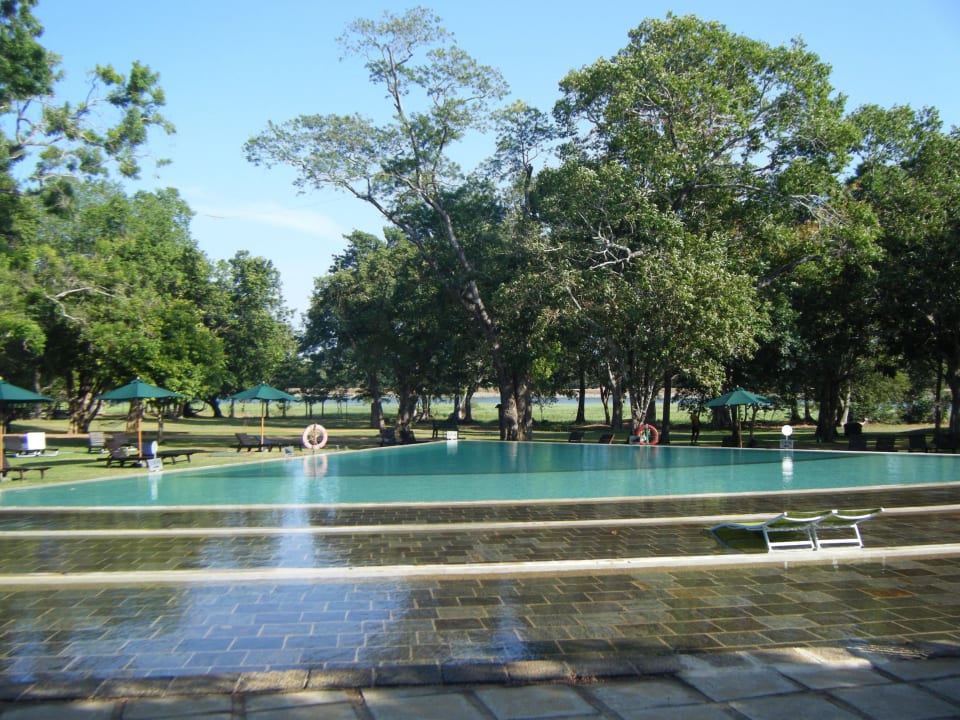 Toller Pool Habarana Village by Cinnamon