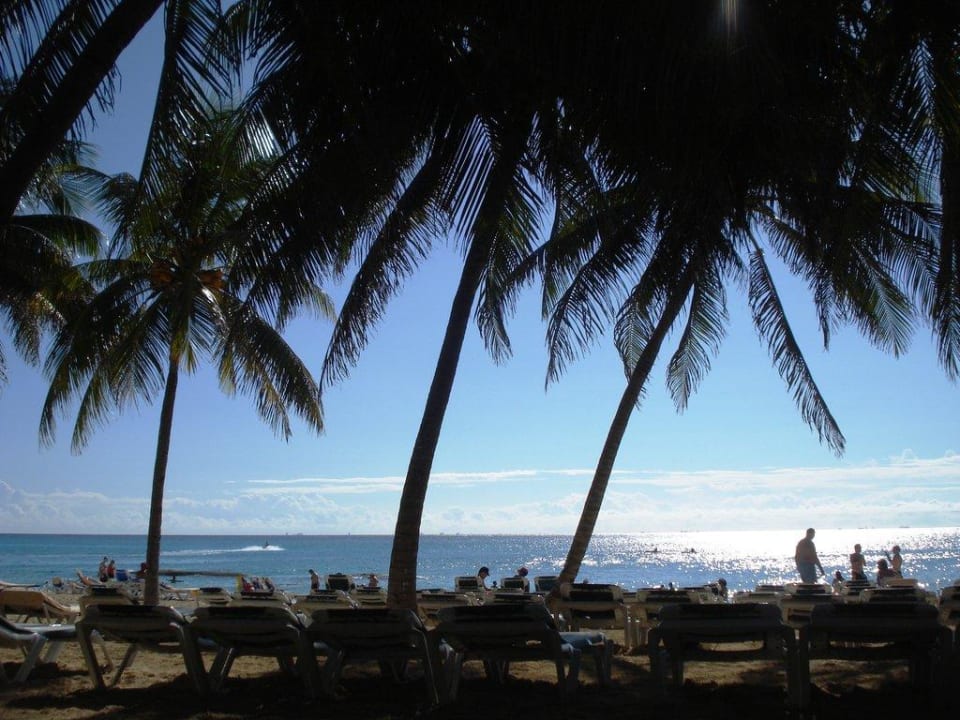 Liegen unter Palmen Hotel Riu Tequila