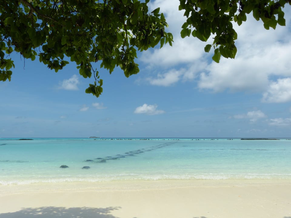 Strand Bungalows 27-30 Summer Island Maldives