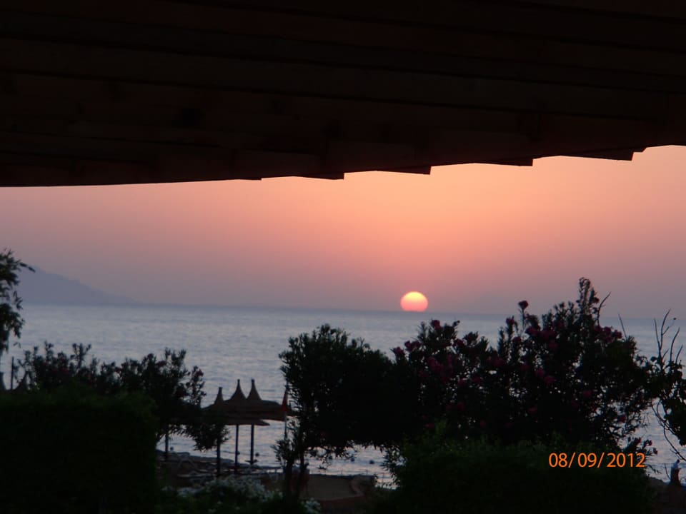 Sonnenaufgang vom Balkon Pickalbatros Royal Grand Resort - Sharm El Sheikh