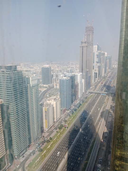 Ausblick Rose Rayhaan by Rotana