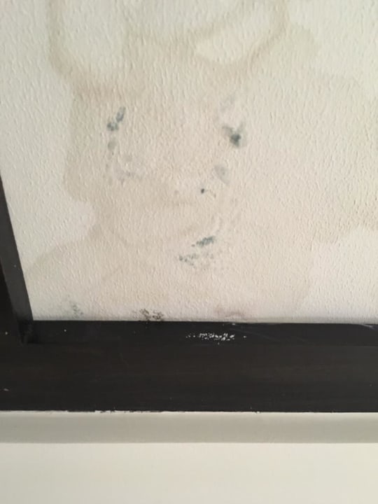 Zimmer Salalah Rotana Resort