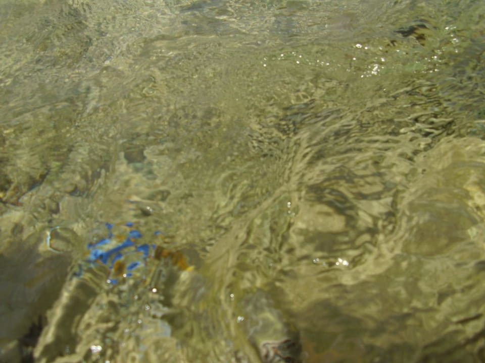 Rafa przy hotelu Sultan Gardens Resort