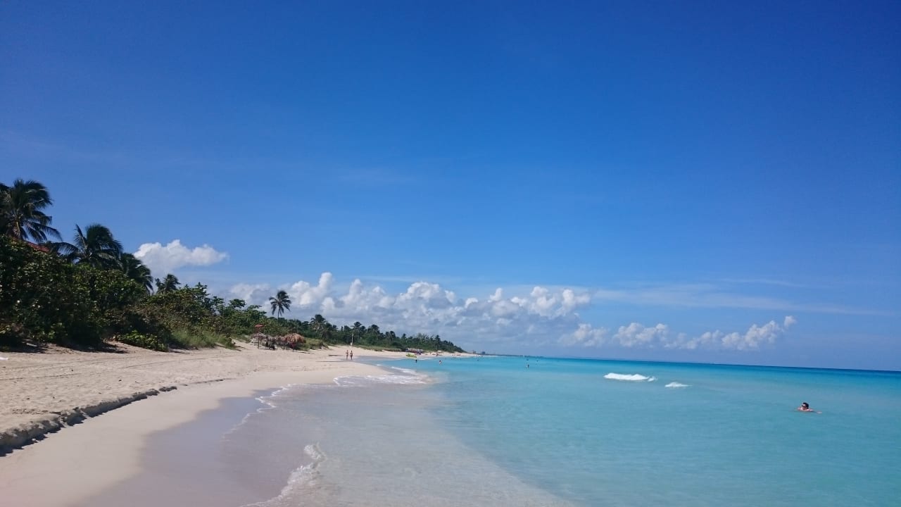 Strand Starfish Cuatro Palmas