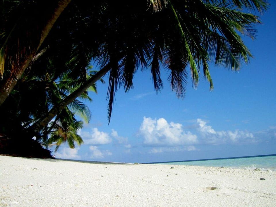 Fihalhohi ein Traum Fihalhohi Maldives