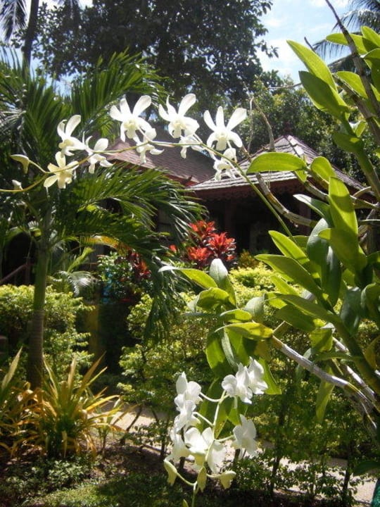 Gartenanlage untere Bungalows The Fair House Beach Resort