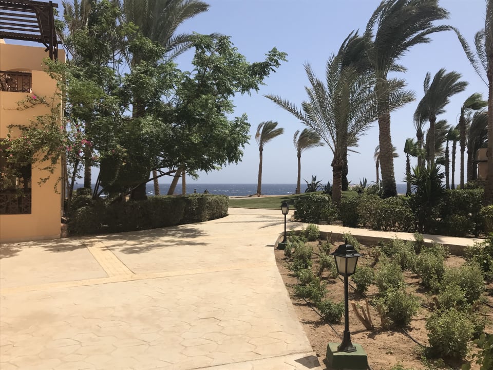 Gartenanlage Steigenberger Coraya Beach - Adults only