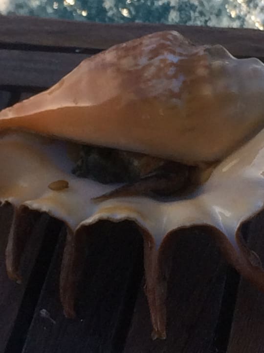 Sonstiges Jaz Makadi Oasis Resort