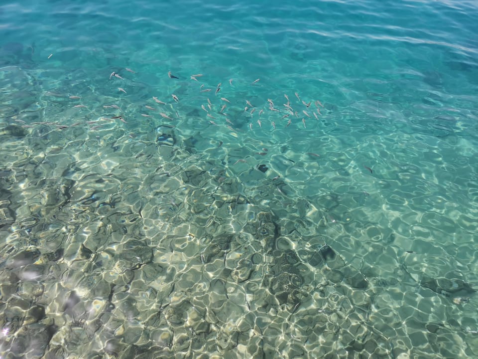 Strand Beach Albatros Resort