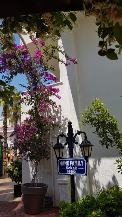 Gartenanlage Hane Family Resort