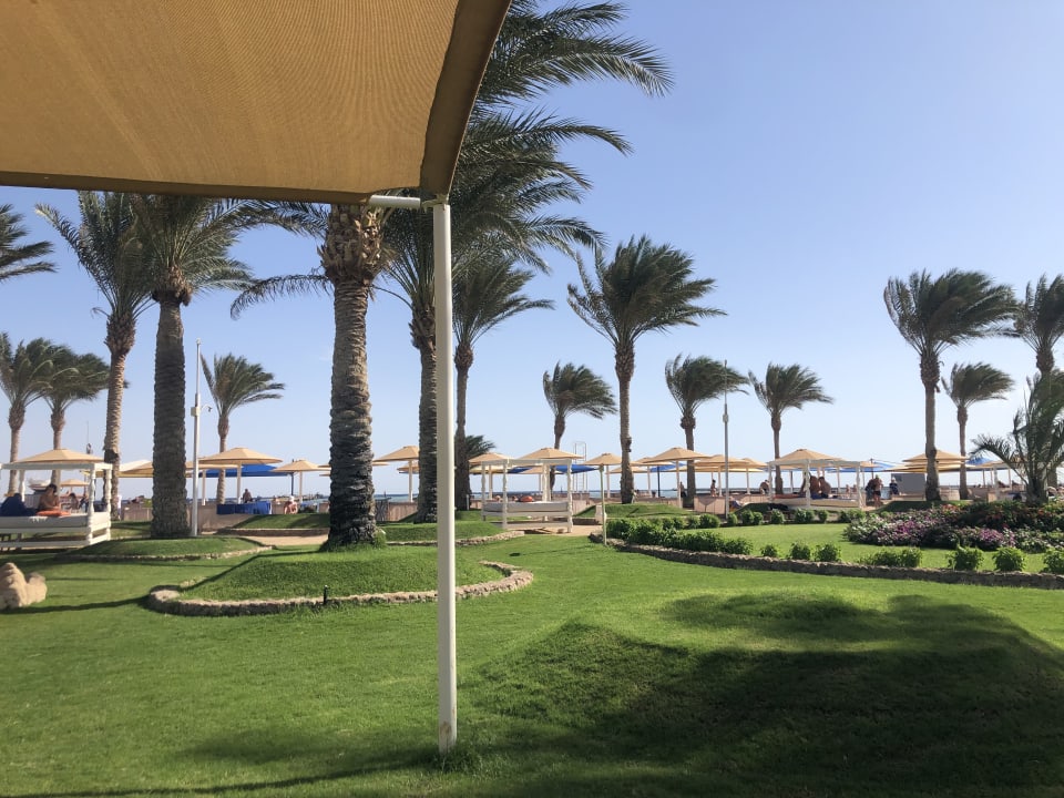Strand Pickalbatros Royal Moderna Resort-Sharm El Sheikh