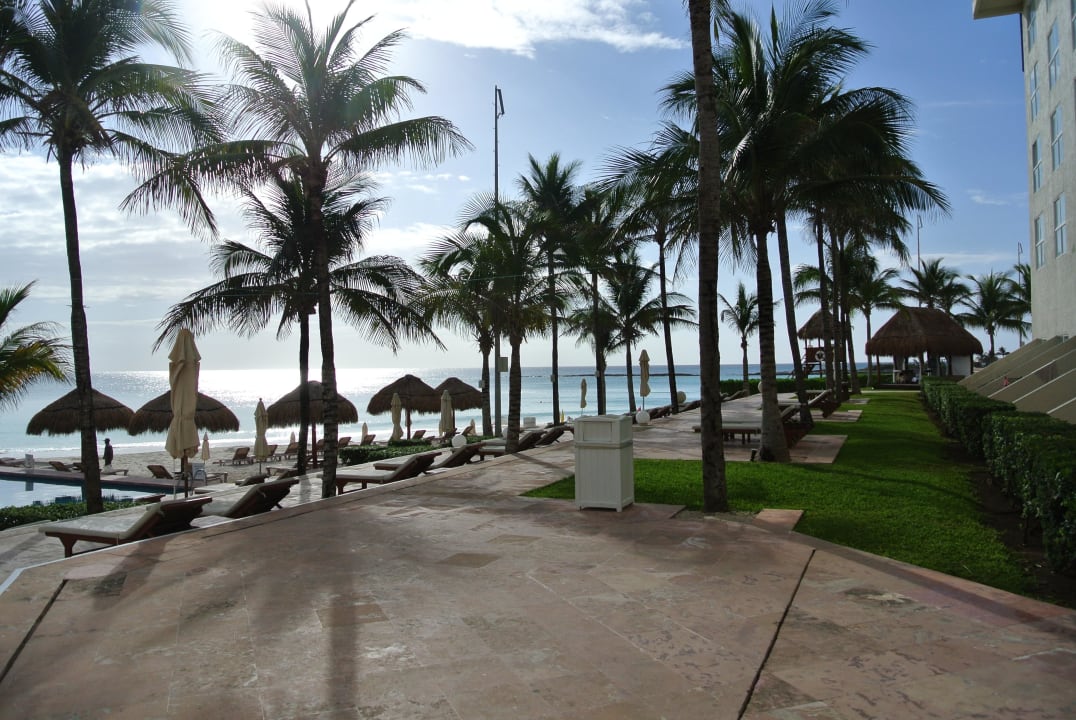 Palm trees Hotel The Westin Resort & Spa Cancun