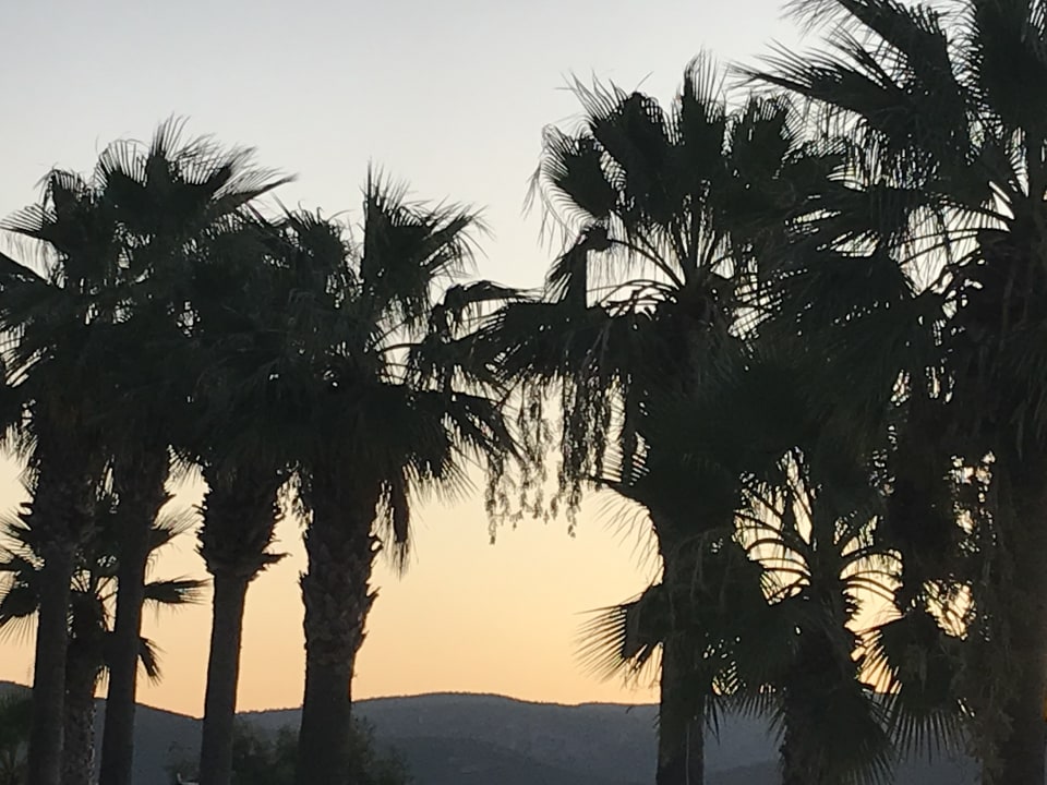 Ausblick Blue Dreams Resort & Spa