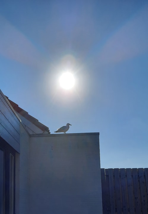 Sonstiges Center Parcs Park Zandvoort - Ferienhäuser