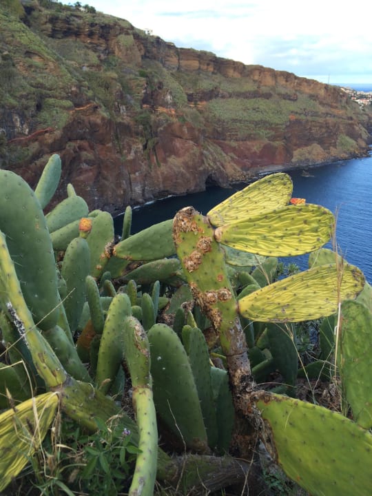 Don Pedro  Hotel Dom Pedro Garajau