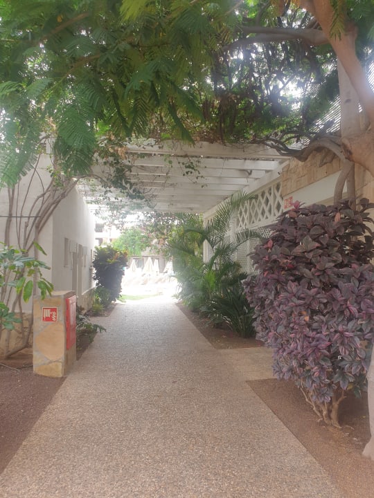 Gartenanlage Alua Suites Fuerteventura