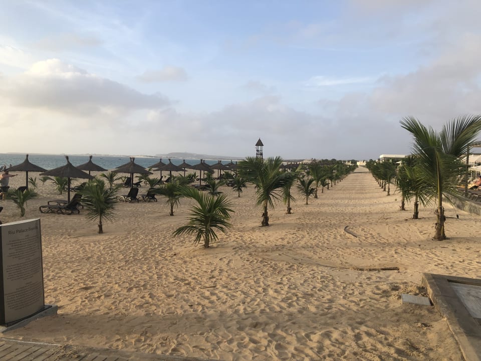Gartenanlage Hotel Riu Palace Boavista