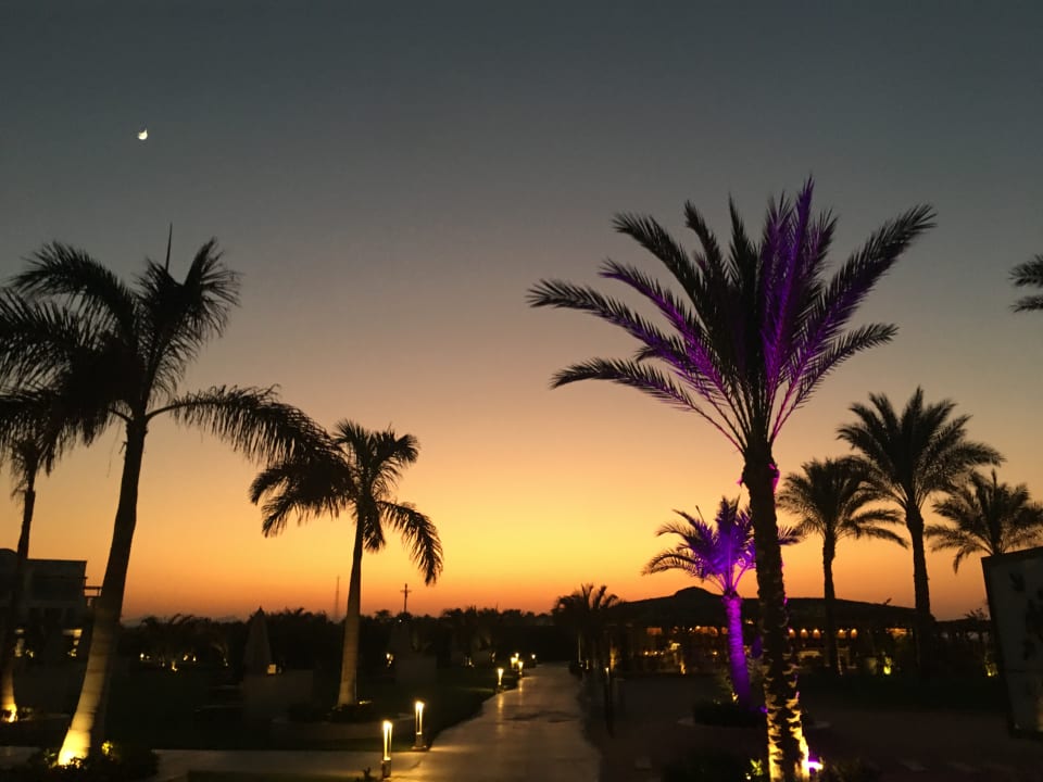 Ausblick Steigenberger Resort Alaya Marsa Alam - Red Sea - Adults only