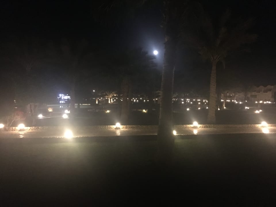 Gartenanlage Three Corners Sea Beach Resort