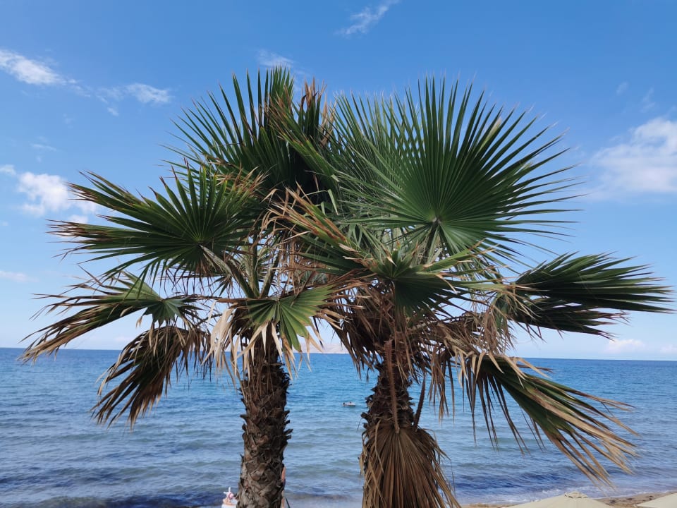 Ausblick Arina Beach Resort