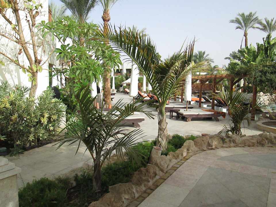 Wege zum Pool Ghazala Gardens