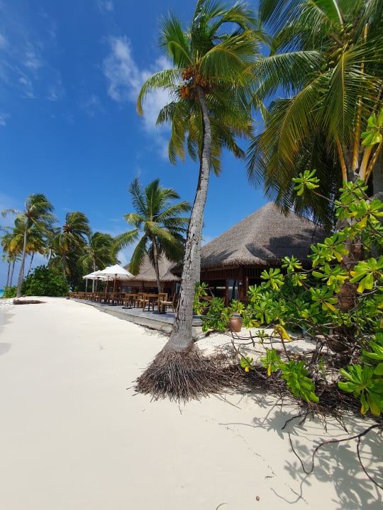 Strand Mirihi Island Resort
